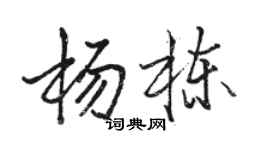 駱恆光楊棟行書個性簽名怎么寫