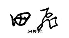 朱錫榮田飛草書個性簽名怎么寫