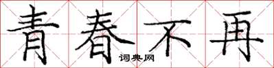 龐中華青春不再楷書怎么寫