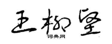 曾慶福王柳堅草書個性簽名怎么寫