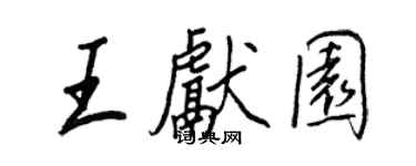 王正良王獻園行書個性簽名怎么寫