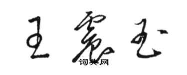 駱恆光王震玉草書個性簽名怎么寫