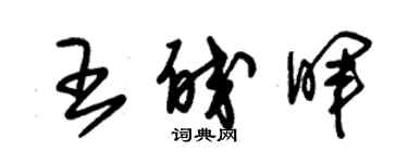 朱錫榮王皎暉草書個性簽名怎么寫