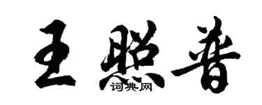 胡問遂王照普行書個性簽名怎么寫