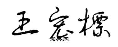 曾慶福王宏標草書個性簽名怎么寫