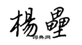 王正良楊壘行書個性簽名怎么寫