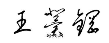 梁錦英王冀鋼草書個性簽名怎么寫