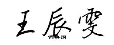 王正良王辰雯行書個性簽名怎么寫