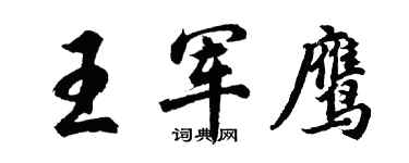 胡問遂王軍鷹行書個性簽名怎么寫