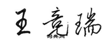 駱恆光王競瑞行書個性簽名怎么寫