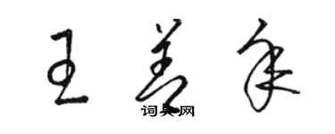 駱恆光王善年草書個性簽名怎么寫