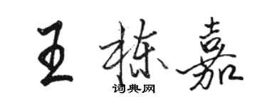 駱恆光王棟嘉行書個性簽名怎么寫