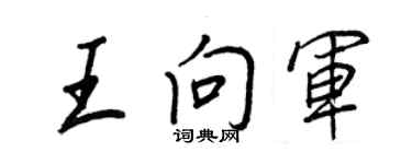 王正良王向軍行書個性簽名怎么寫