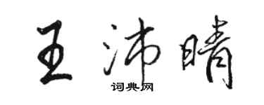 駱恆光王沛晴行書個性簽名怎么寫