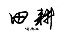 朱錫榮田耕草書個性簽名怎么寫