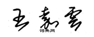 朱錫榮王嘉雲草書個性簽名怎么寫