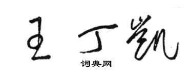 駱恆光王丁凱草書個性簽名怎么寫