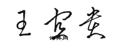 駱恆光王宜貴草書個性簽名怎么寫