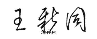 駱恆光王新同草書個性簽名怎么寫