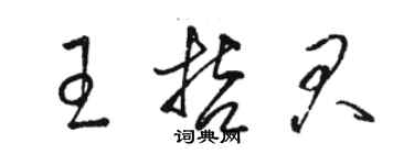 駱恆光王哲君草書個性簽名怎么寫