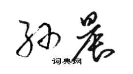 駱恆光孫晨草書個性簽名怎么寫