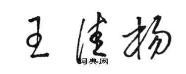 駱恆光王佳楊草書個性簽名怎么寫