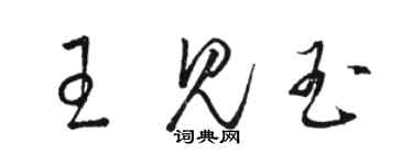 駱恆光王見玉草書個性簽名怎么寫