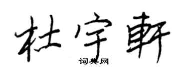 王正良杜宇軒行書個性簽名怎么寫