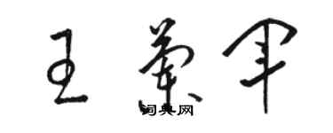 駱恆光王蘭軍草書個性簽名怎么寫