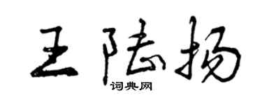曾慶福王陸揚行書個性簽名怎么寫
