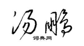 梁錦英湯鵬草書個性簽名怎么寫