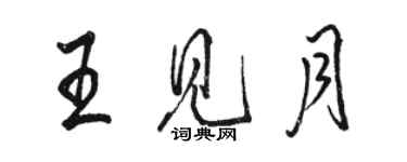 駱恆光王見月行書個性簽名怎么寫