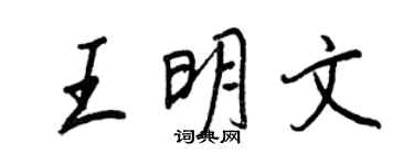 王正良王明文行書個性簽名怎么寫