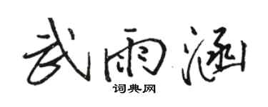 駱恆光武雨涵行書個性簽名怎么寫