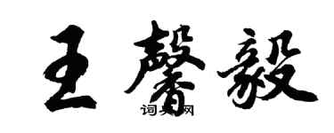胡問遂王馨毅行書個性簽名怎么寫