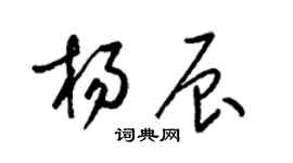 梁錦英楊辰草書個性簽名怎么寫