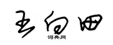 朱錫榮王向田草書個性簽名怎么寫