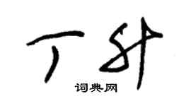 朱錫榮丁升草書個性簽名怎么寫