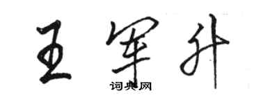 駱恆光王軍升行書個性簽名怎么寫