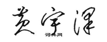 駱恆光黃宇澤草書個性簽名怎么寫