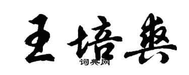 胡問遂王培爽行書個性簽名怎么寫