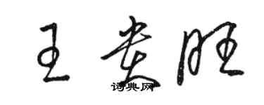 駱恆光王貴旺草書個性簽名怎么寫