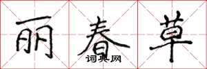 侯登峰麗春草楷書怎么寫