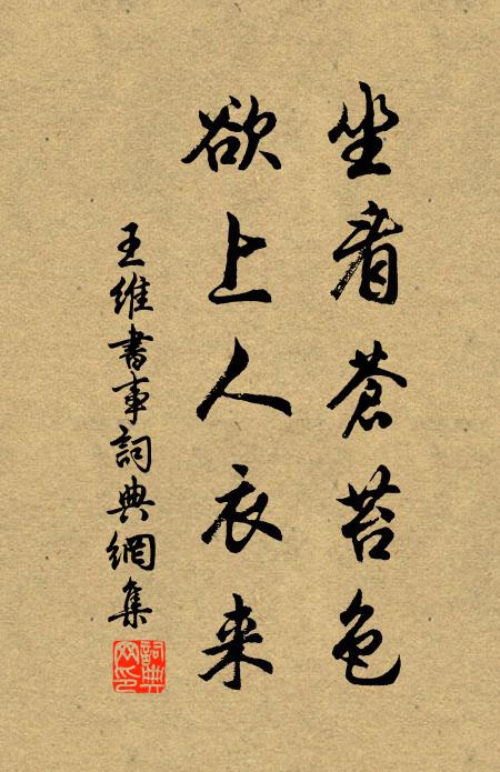 時光轉眼，兔葵燕麥，又是看看 詩詞名句