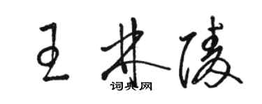 駱恆光王林陵草書個性簽名怎么寫