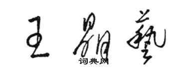 駱恆光王晶藝草書個性簽名怎么寫