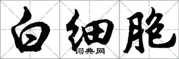 胡問遂白細胞行書怎么寫