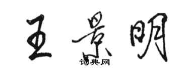 駱恆光王景明行書個性簽名怎么寫