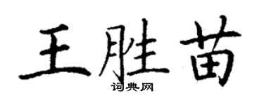 丁謙王勝苗楷書個性簽名怎么寫