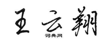 駱恆光王雲翔行書個性簽名怎么寫